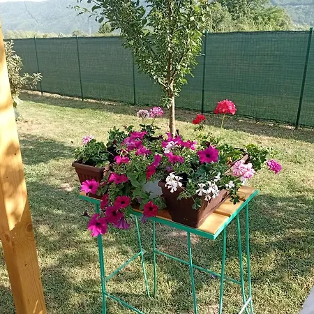 'whispering Pines' Ilidza *